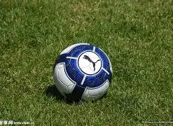 取消第五节,潜力赛,转投中国篮,米兰体育官网,米兰体育直播,体育赛事直播,足球直播