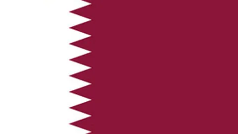 体坛财经每日快讯