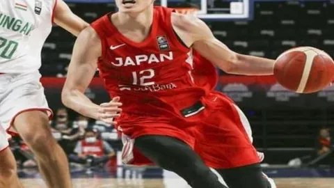 米兰体育米兰体育官网数据冲到044145引发关注